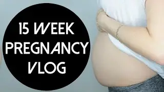 15 Week Pregnancy Vlog - 2016 - hellocrisst
