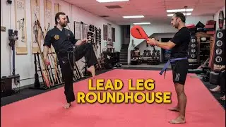 A Breakdown Of The Lead Leg Roundhouse Kick