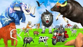 5 Giant Elephant Cow Vs Giant Indian Bison Vs 5 Giant Lion Tiger Bull Saved By Woolly Mammoth
