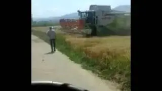 moisson 2015 avec claas lexion 650 IRL