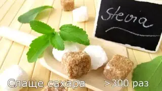 Удивительтные растения