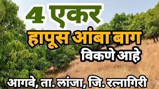 180 हापूस आंब्याची बाग विकणे आहे | 25 वर्षाची मोठे झाडे | वाडी वस्तीत प्लॉट, विहीर | आगवे, ता लांजा.