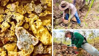 Golden Moments at the Palmer River Goldfields