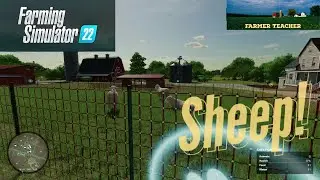 Sheep on Farming Simulator 22 - Should You Buy FS22 Sheep?