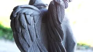 Steingebildet | Steinbildhauermeister | Ren&eacute; Geier