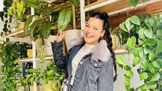 ronisha thapa is live in tiktok on magh 8 at around 6, 36 pm