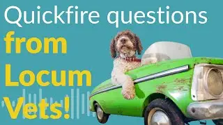 Being a Locum Vet - Your questions ANSWERED! #veterinarysurgeon