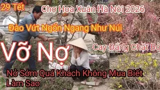 Cho&aacute;ng 29 tết đ&agrave;o quất bỏ chất đống như n&uacute;i, Nh&agrave; Vườn kh&oacute;c d&ograve;ng - Chợ Phi&ecirc;n Hoa Tết H&agrave; Nội 2026