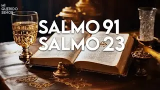 Salmo 23 y Salmo 91 | palabras que traen dirección, fe y consuelo