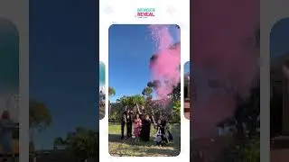 Pop the Cannon, Paint the Sky: Pink or Blue? Let's Find Out! 🎉💖