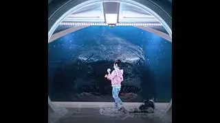 Это просто кит |🦈 Мег (2018) #фильм #монтаж #короткометражные фильмы