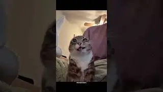 Couple fails 😂 #tiktok #instagram #meme #couplefails #fails #meme #shorts