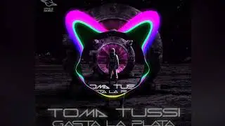 Toma Tussi gasta la Plata | Slowed + Reverb | Slowed Song | T90 Official Clan #tomatussi #slowed