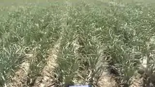 HTVQHME
