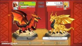 Dragon City Episode 16 || Four Elements Dragons Battle Royale