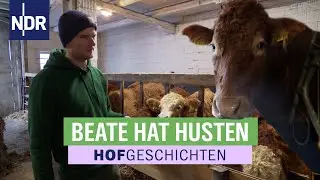Rinder mögen’s kalt und trocken | Hofgeschichten (363) | NDR