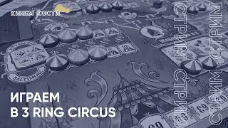 Игровой стрим: играем в настольную игру 3 ring circus / «Цирк 3 арен». Как эта игра на двоих?