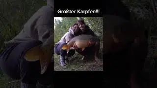 Gr&ouml;&szlig;ter Herbst Karpfen!!! #fisch #fische #angeln #angler #karpfen #karpfenangeln #fishing #fish