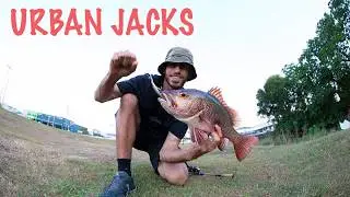 Cairns urban lure fishing