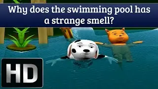 Why Does The Swimming Pool Has A Strange Smell? - Interesting Facts  For Kids
