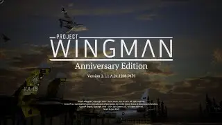 Project Wingman