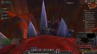 5 Man Bronze Whelp Farm Insanity!! 30 pets in 2 hours!!