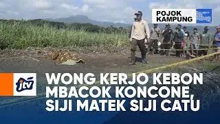 Wong Kerjo Kebon Mbacok Koncone, Siji Matek Siji Catu | POJOK KAMPUNG JTV