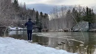 Guideline Reach 9&rsquo;6 7wt Rio skagit mini gamechanger 250 grain Sink tip 10&rsquo; 