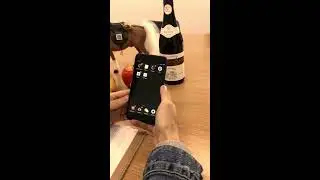 How to use VeChain App to verify authenticity of products?