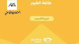 يلو التحصيلي2025|تأسيس الاحياء والبيئة|الطيور