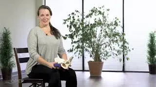How to Use OPTP PFProp Pelvic Floor Muscle Exerciser?