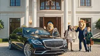 King family lion and family home School learning and lion king business 