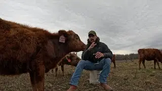 The Biggest Difference Between Grass and Grain Finished