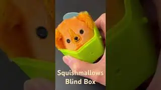#cute #squishmallows #micromallows #blindbox  I like this one.