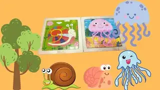 Learn How to Solve the Snail and Jellyfish Puzzle!