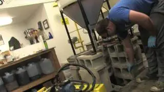 Biodiesel Program