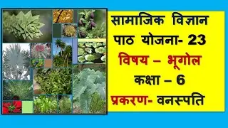 Geography Lesson Plan Class 6 I Path Yojna 23 I प्रकरण-वनस्पति Vanaspati I  Bhugol I BEd/BTC/DElEd