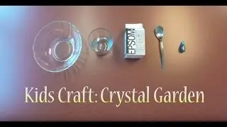 Kids Craft: Crystal Garden