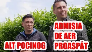 ALT POCINOG. ADMISIA DE AER PROASPĂT - CASEBUNE.RO