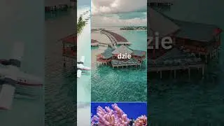 🏝️ Odkryj rajskie Malediwy z MultiWander! ✈️🌊 #MultiWander #Malediwy #Podr&oacute;żeMarzeń