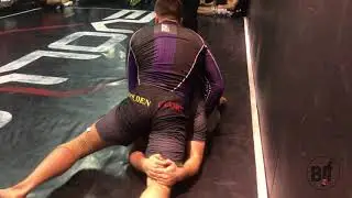 Алиев vs Пидгирный evolve опытные 94 1/4