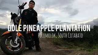 DOLE Pineapple Plantation | Polomolok South Cotabato | Motourcycle