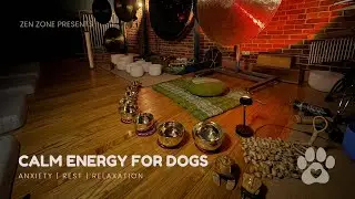 Calm Energy for Dogs | Gentle Sound Bath for Relaxation & Anxiety Support