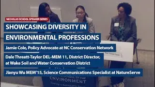 Key Points on Diversity in Environmental Professions