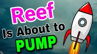 Reef is about to Pump! || Reef Price Prediction & News Today! Reef Today News