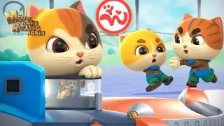 MEOW! TRAIN 🚂🐾  The Cat Conductor Takes the Animals for a Ride