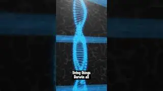 Darwin's Theory of Evolution 🧬