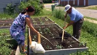 Urban Agriculture Enriches Buffalo Inner City Neighborhood