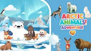 20 आर्कटिक जानवरों के नाम | Arctic Animals for Kids | Learn Polar Animals Name in English and Hindi