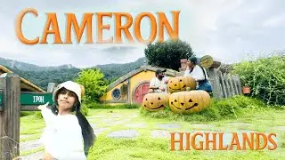 Cameron Highlands Malaysia 🍃Hobbitoon Village 🧚 Floral Park 🌸 Sheep Farm 🐑 Strawberry Farm #sinhala 